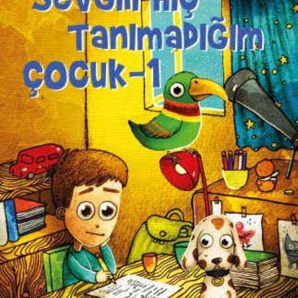 Sevgili Hiç Tanımadığım Çocuk Hanzade Servi